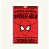 Αφίσα Spider Man 61×91,5εκ Κορνίζα Ξύλινη Χρώμα Λευκό Με Ακρυλικό Τζάμι Άθραυστο  K1041-3-Hoper.gr